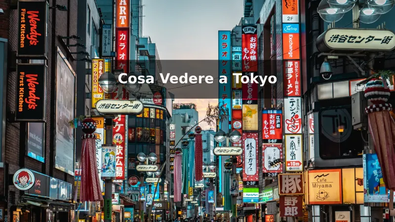 Cosa Vedere a Tokyo